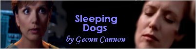 Sleeping Dogs